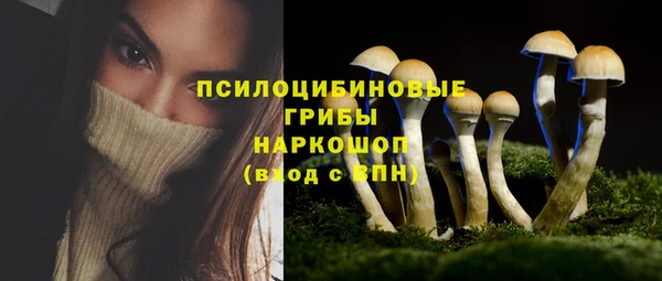 твердый Надым