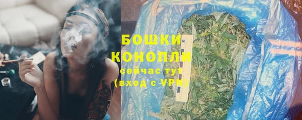 твердый Надым