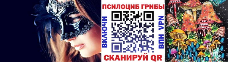 Галлюциногенные грибы Psilocybe  где можно купить наркотик  Нижневартовск 