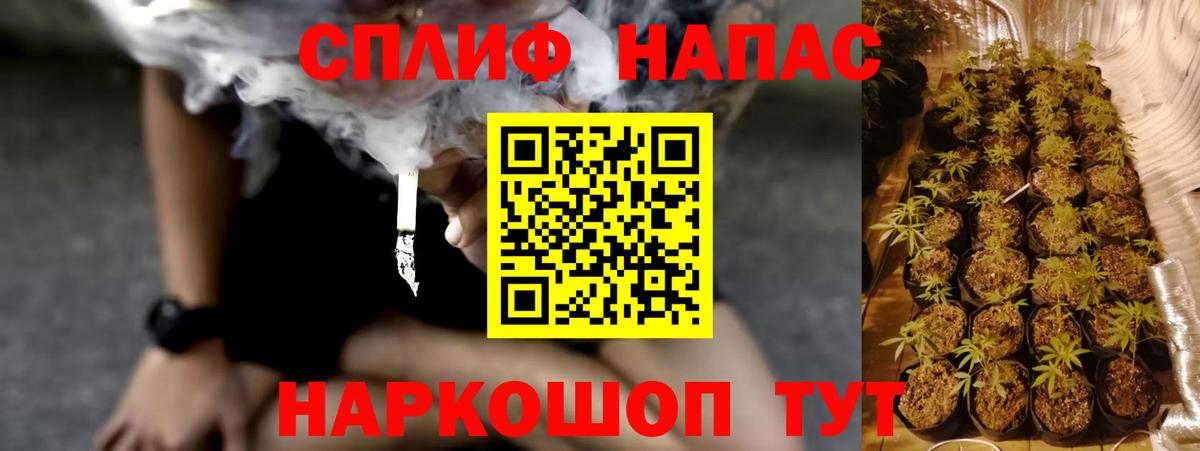 Марихуана Amnesia  Каннабис сатива  Нижневартовск  Вход с VPN 